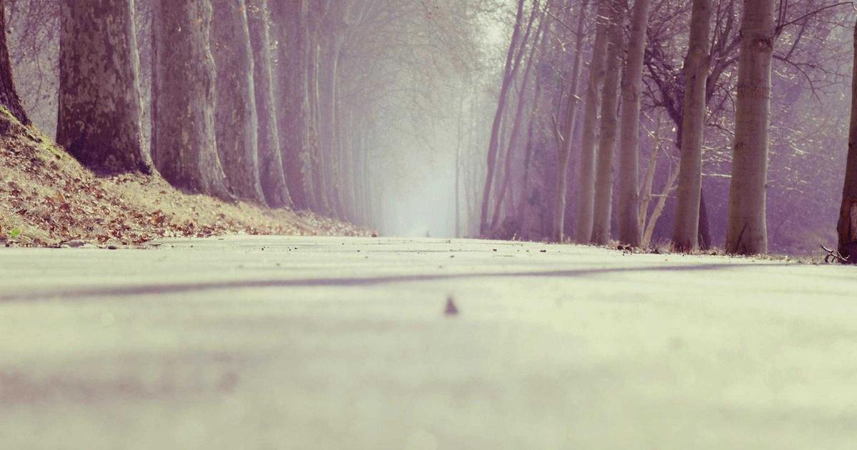 Ekologiczne Śluby Katolickie: Zielona Miłość w Wierze