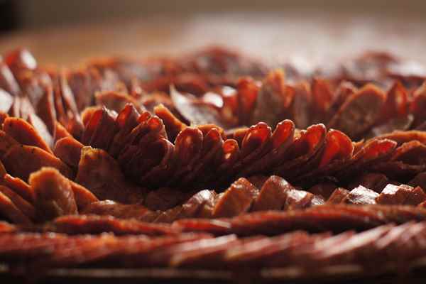 Czym jest dziczyzna i dlaczego jest taka dobra?